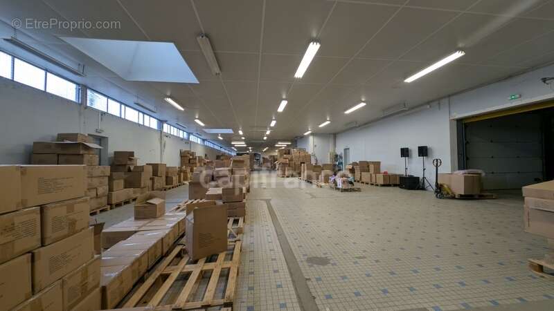 À vendre – Local d’activité/entrepôt 1460m2- Terrain 5738m2 - Proche RN12 - photo 2