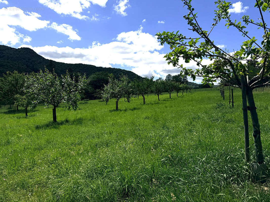 Domaine Saint Germain De Joux  ancienne ferme de 273 m2 sur 21 ha - photo 5