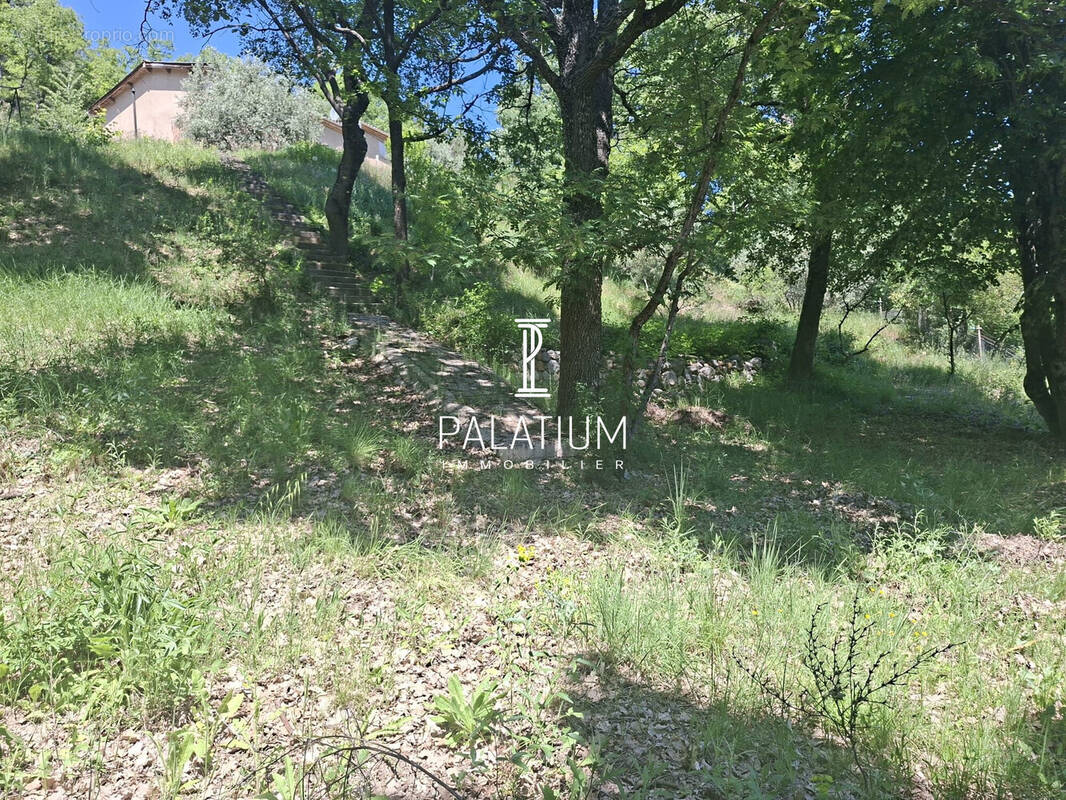 terrain