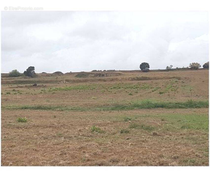 Photo 1 - Terrain à SAINTE-VALIERE