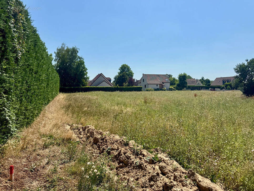 Terrain à LES ALLUETS-LE-ROI