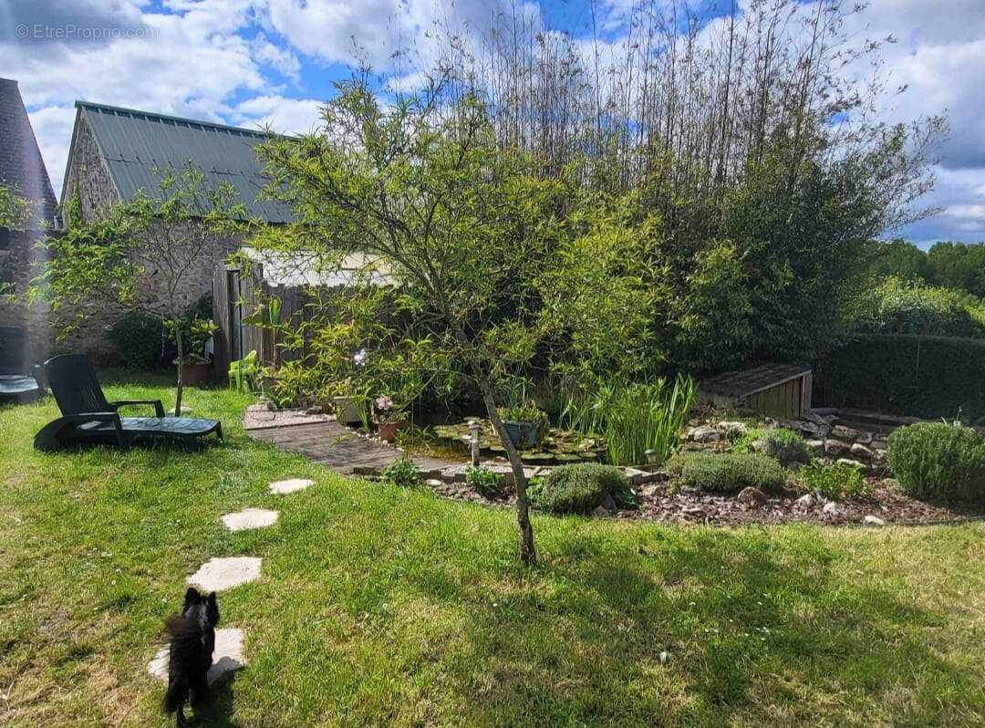 Maison à SEMBLANCAY