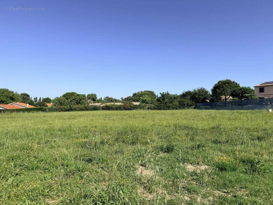 Terrain à bâtir de 812 m² à BOULOC (31) - photo 2