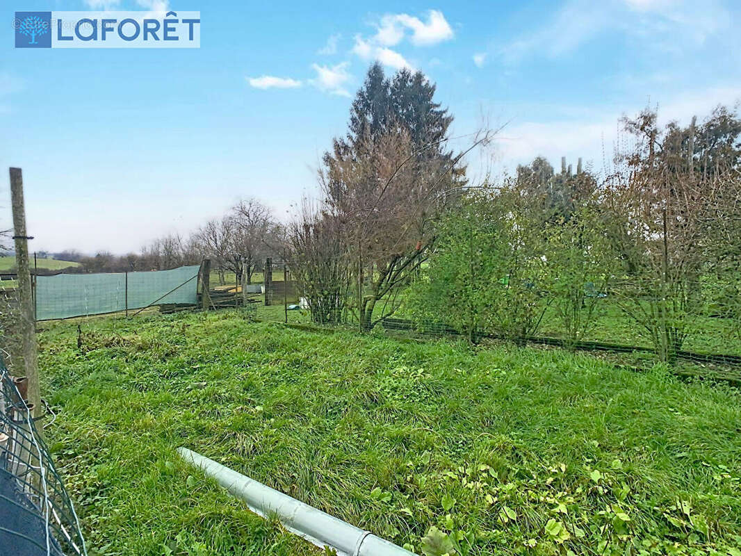 Maison à DAMMARTIN-SUR-MEUSE