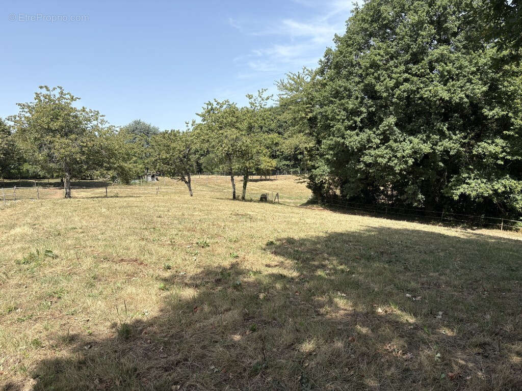 Saint-Sornin Lavolps, en bordure de l'hippodrome - photo 2