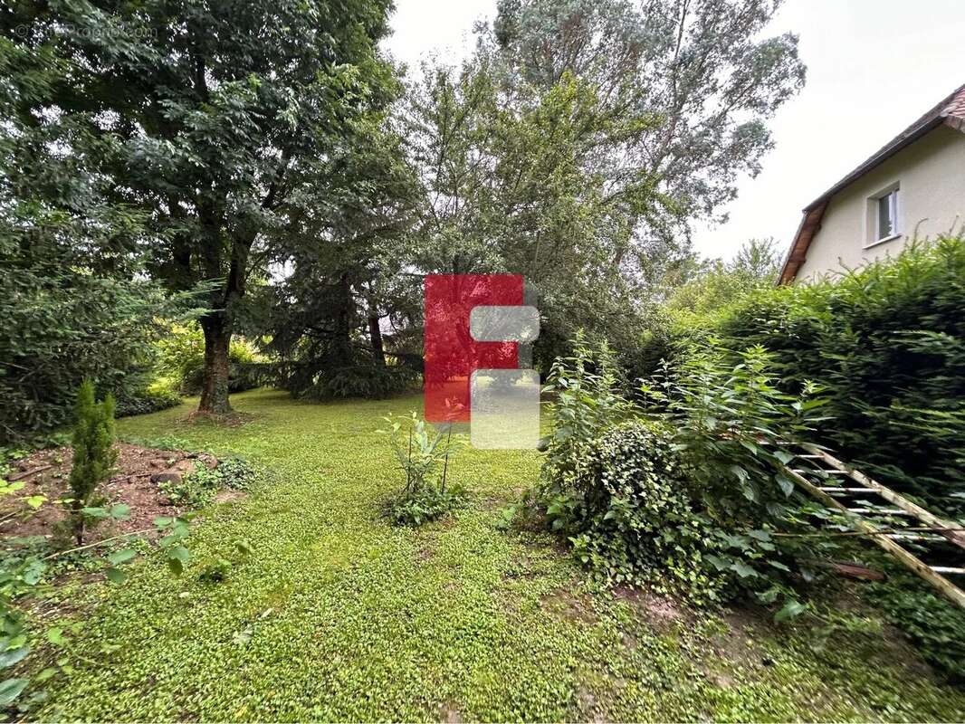 Terrain à LUSIGNY-SUR-BARSE