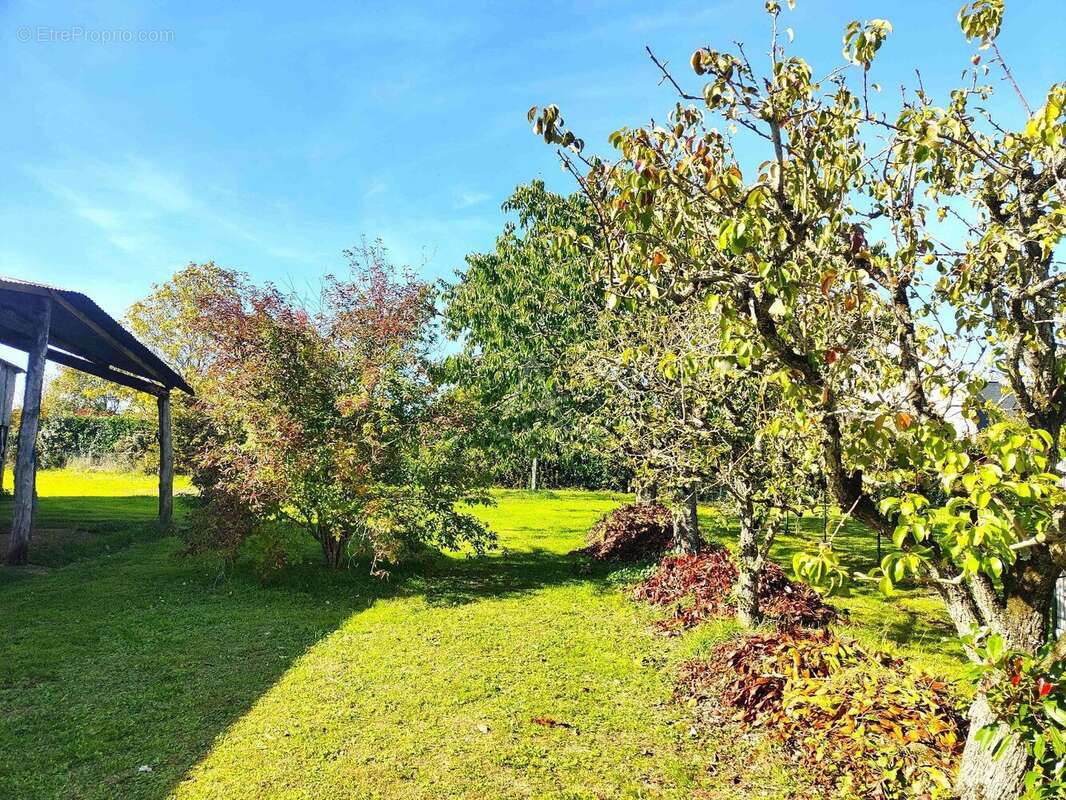 Maison à SABLE-SUR-SARTHE