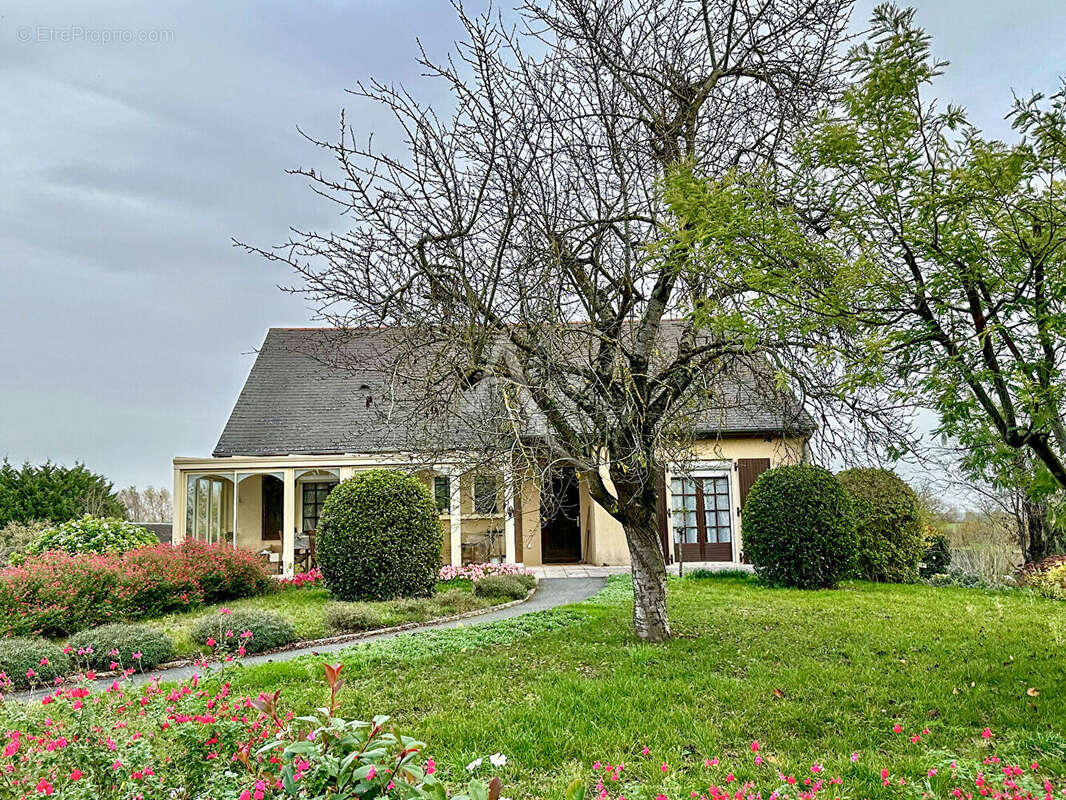 Maison à DOUE-LA-FONTAINE