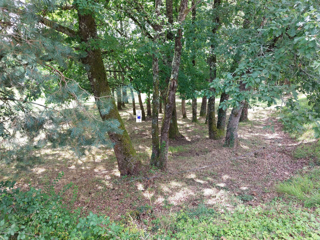 Terrain à SAINT-PARDOUX-LA-RIVIERE