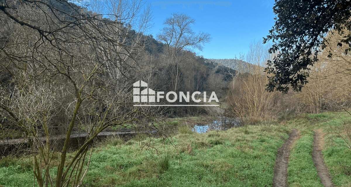 Terrain à COLLOBRIERES