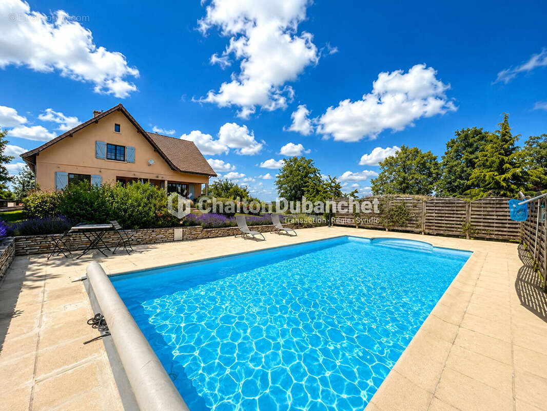 MONTAIGUET EN FOREZ - Maison de 330 m² sur  35000 m² de terrain et deux étangs - photo 2