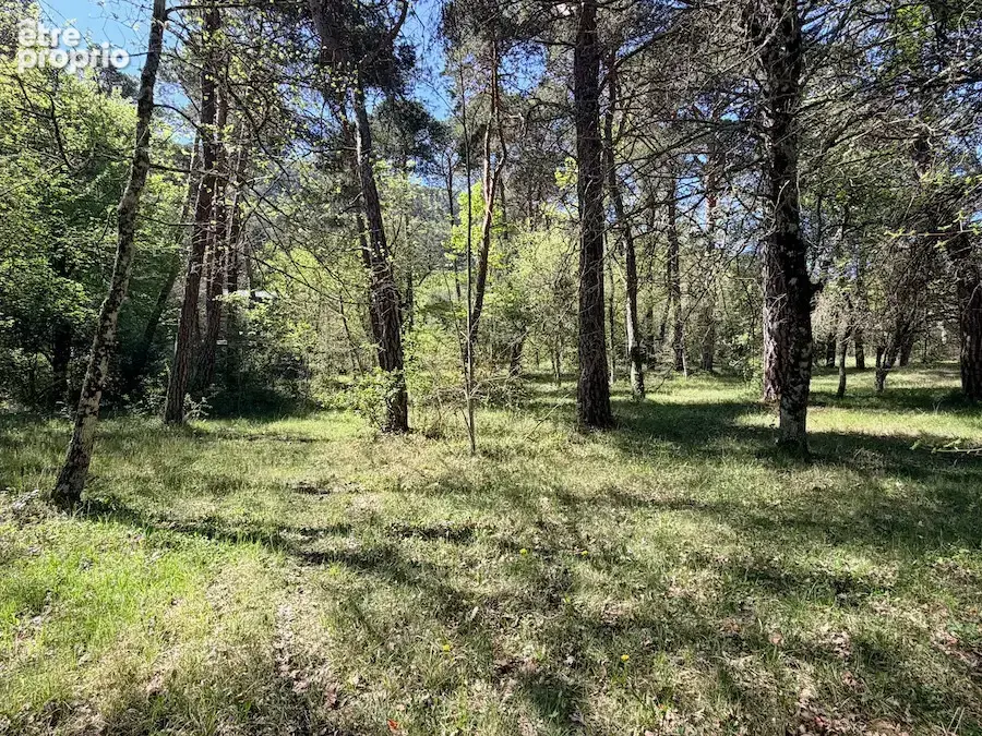 Terrain 881 m² à vendre à Plan-D'aups-Sainte-Baume (83640) - photo 3