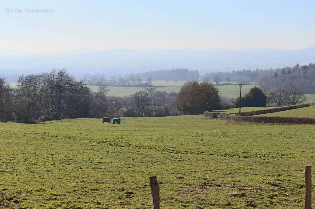 Maison de 172 m² de plain-pied à vendre avec vue dégagée - photo 15