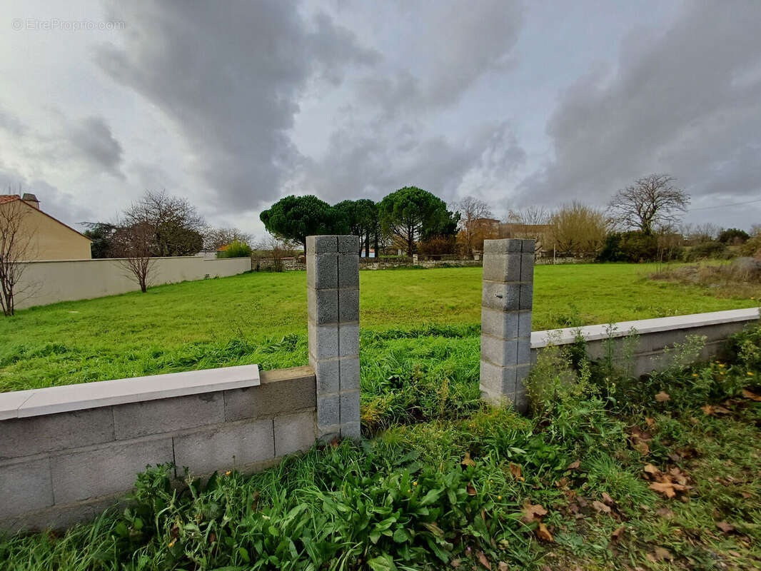 Photo 4 - Terrain à FONTENAY-LE-COMTE