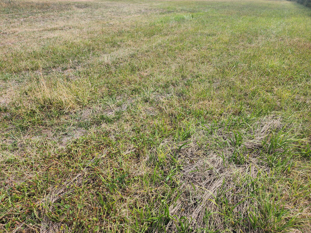 Terrain à BALBIGNY