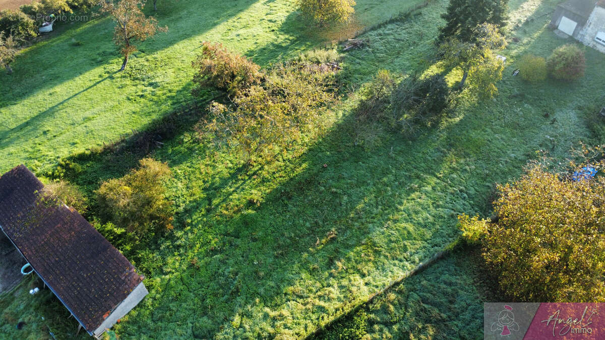 Terrain à DAMMARTIN-MARPAIN