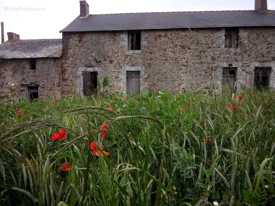 Maison à LA POMMERAYE