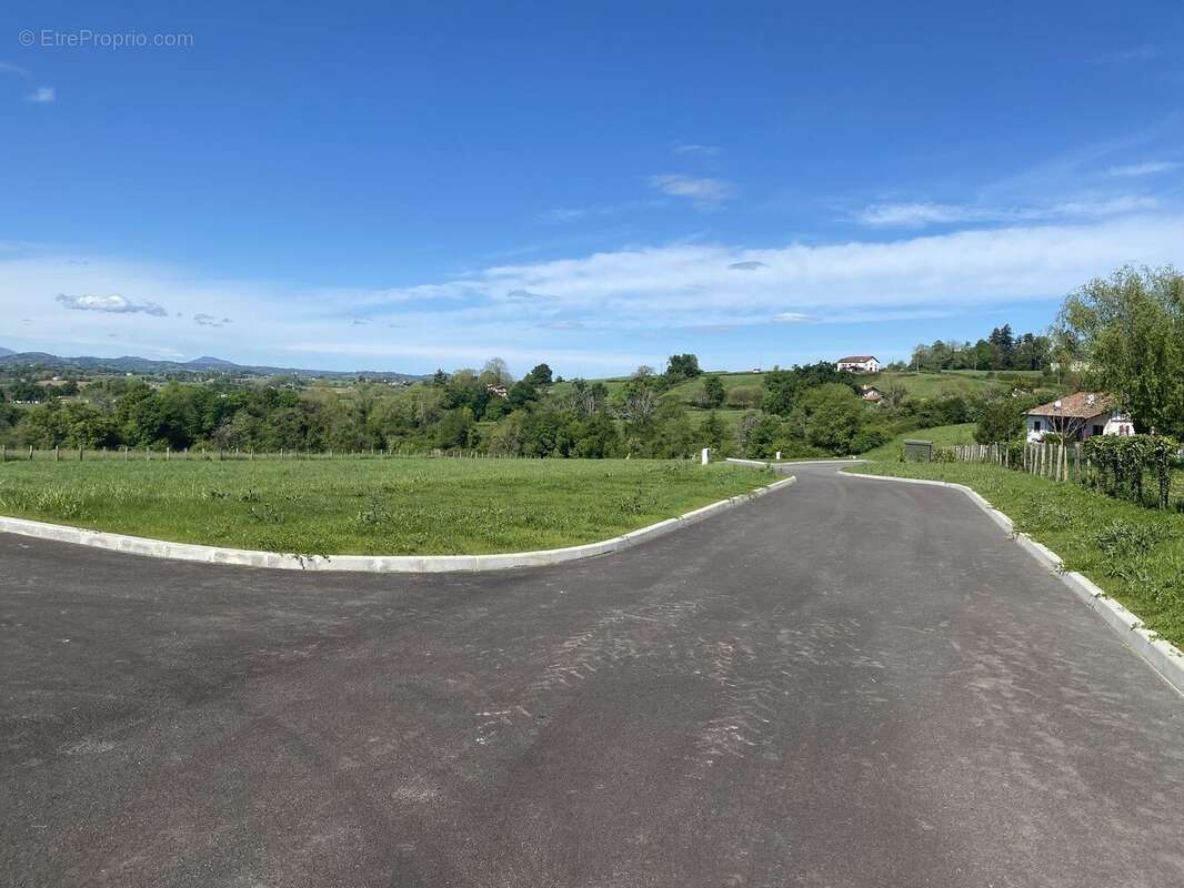 Photo 3 - Terrain à ARBOUET-SUSSAUTE