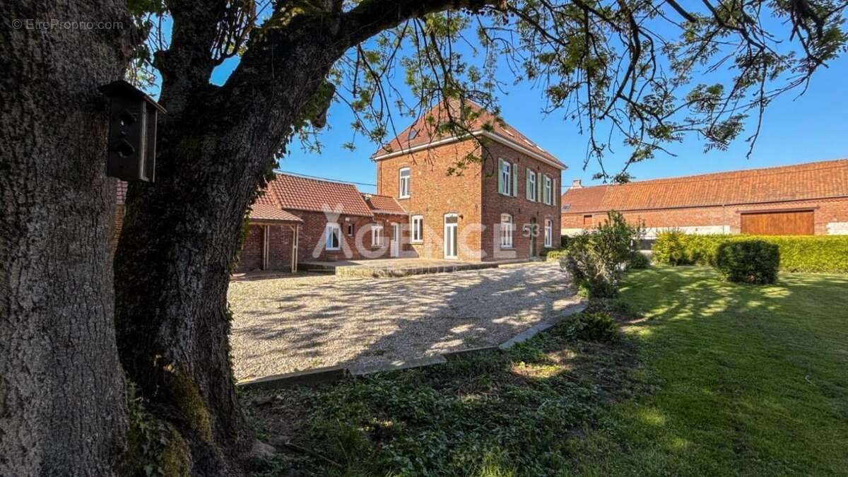 Maison à THEROUANNE