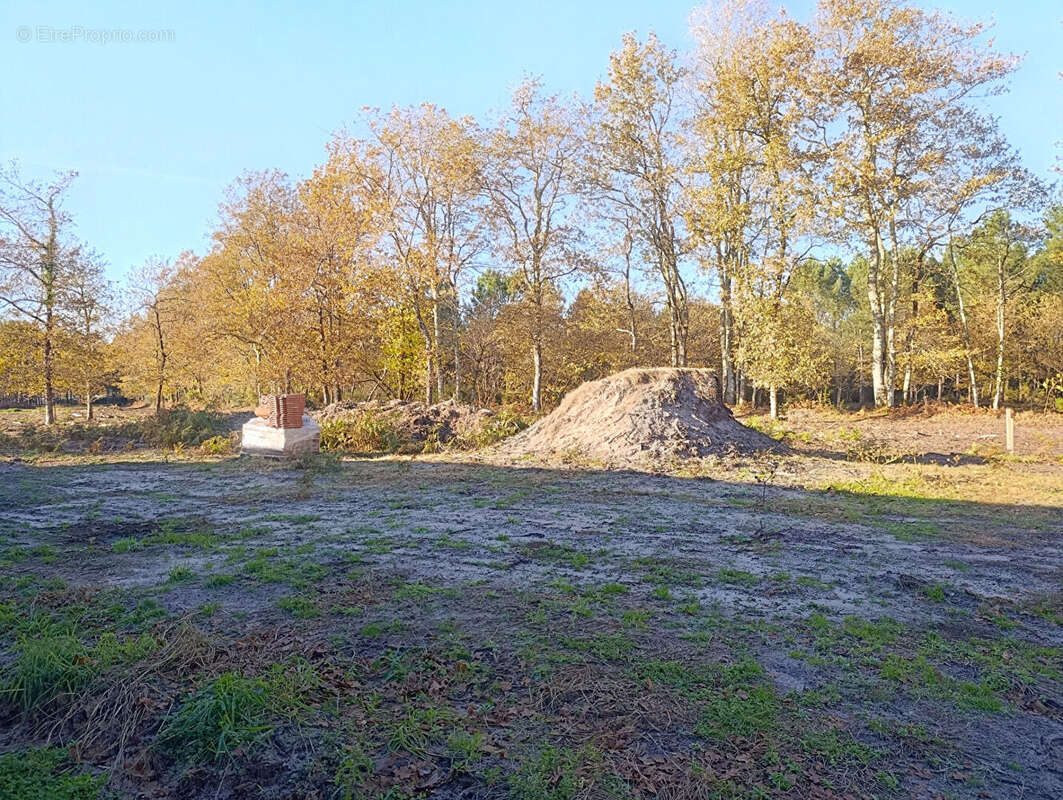 Maison à VIELLE-SAINT-GIRONS