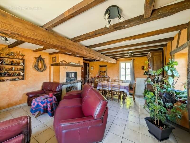 Rare à Lessard-en-Bresse : Ferme Bressane de 159 m2 Dépendance d'Exception et terrain de 8753 m2 - photo 7