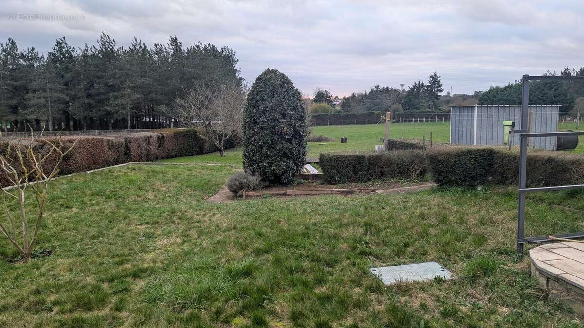Maison à LE FRESNE-SUR-LOIRE