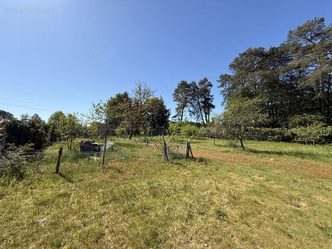 Maison à LA FERTE-IMBAULT