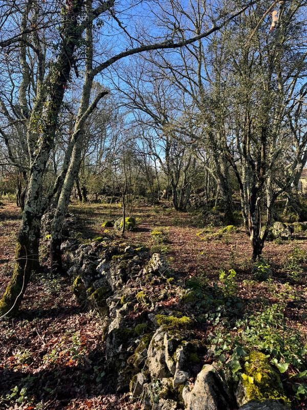 Terrain à SAINT-HIPPOLYTE-DU-FORT