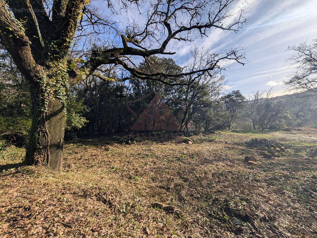 Terrain à MOLIERES-SUR-CEZE