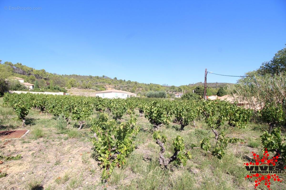 Terrain à MONTOULIERS