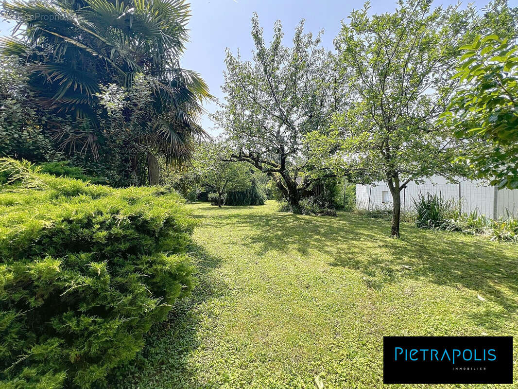 Appartement à GENAY