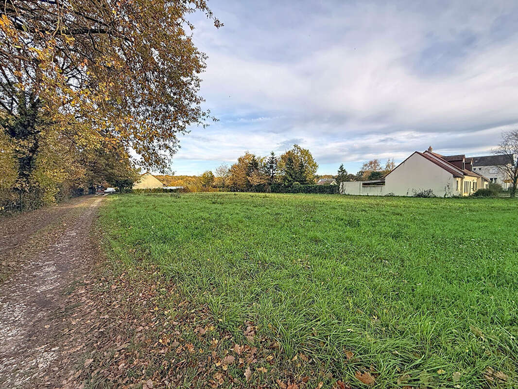 Terrain à CHAILLES