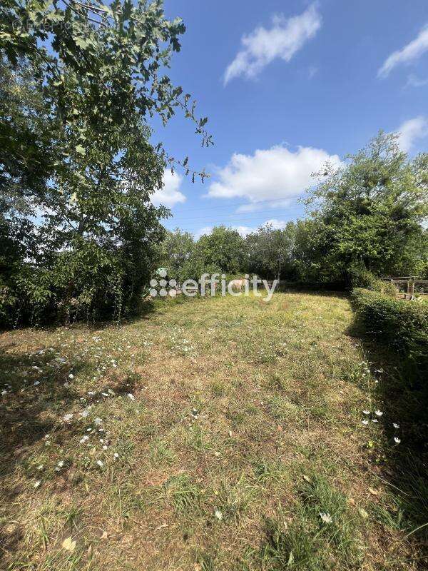 Maison 76 m² à Bouguenais  - photo 4