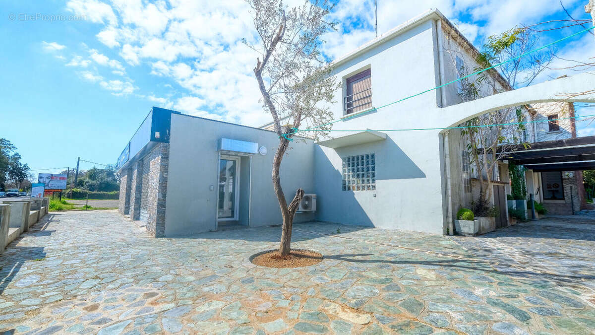 Autre à SAN-NICOLAO