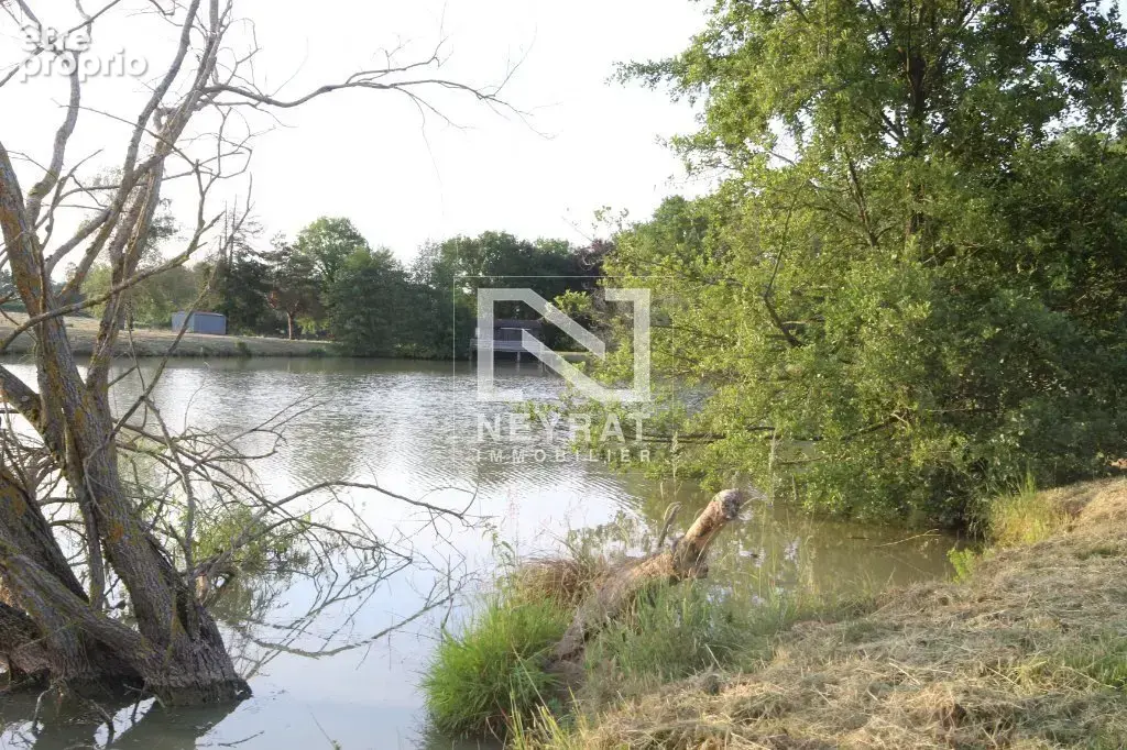 Etang avec sources - photo 11