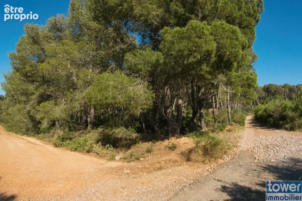 Fabrezan-Terrain 4 ha non constructible en Zone Naturelle - photo 14