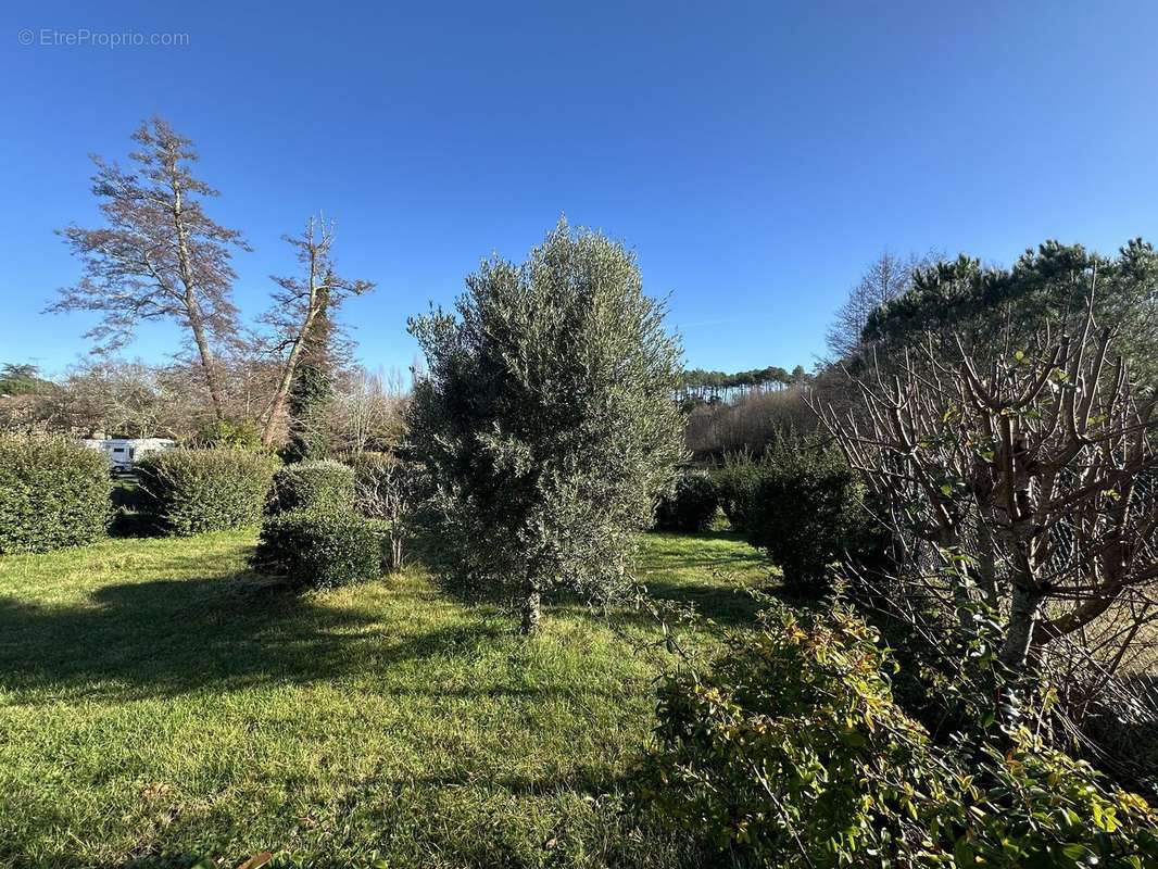 Photo 4 - Terrain à LEVIGNACQ