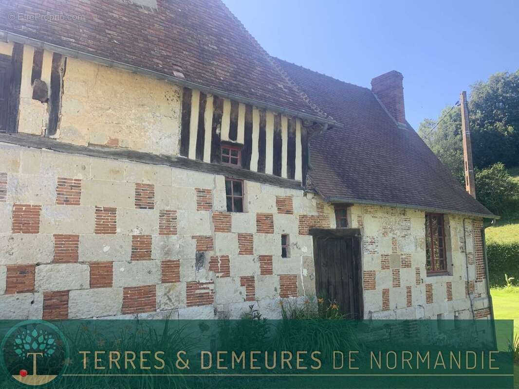 A vendre dans le PAYS D'AUGE du CALVADOS, secteur LISIEUX, haras d'élevage de chevaux sur une surface de 48 ha. - photo 6