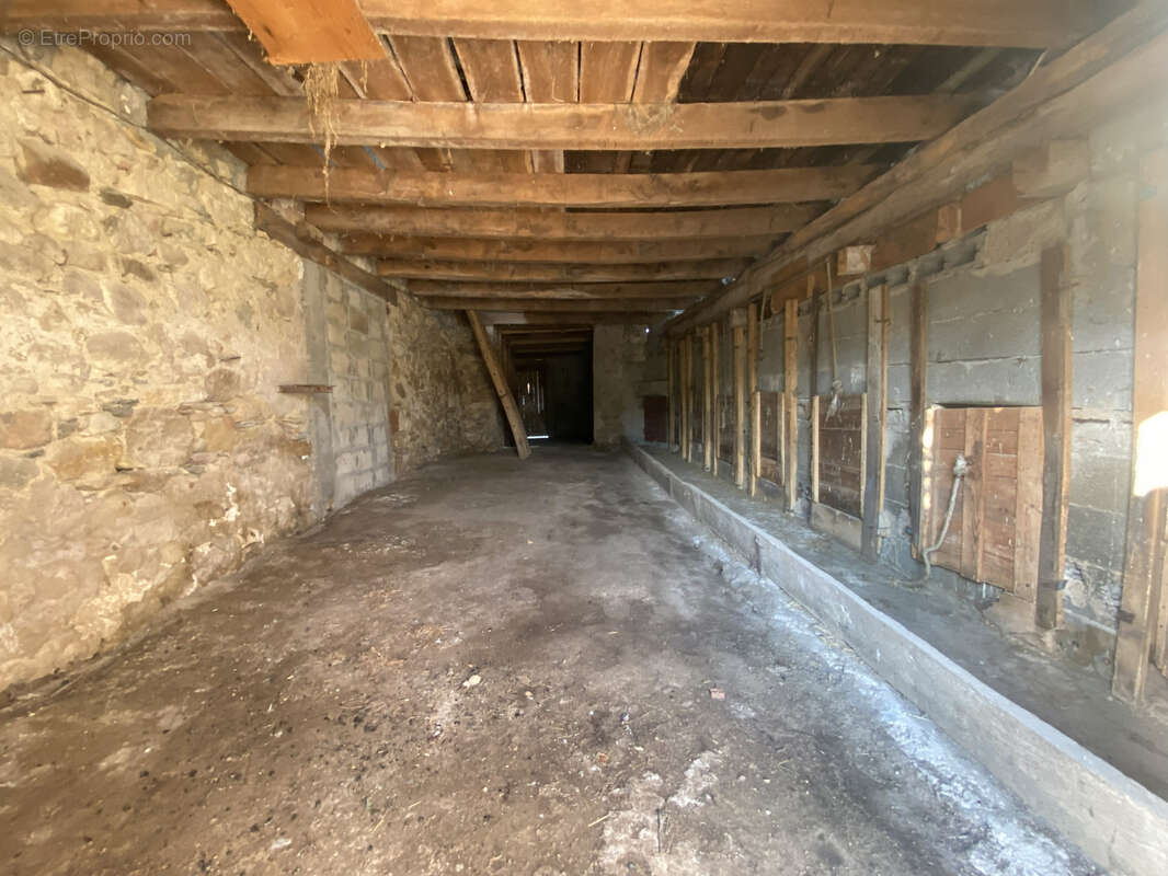 Maison T4 avec dépendances, caves et terrain   Beau potentiel - photo 9
