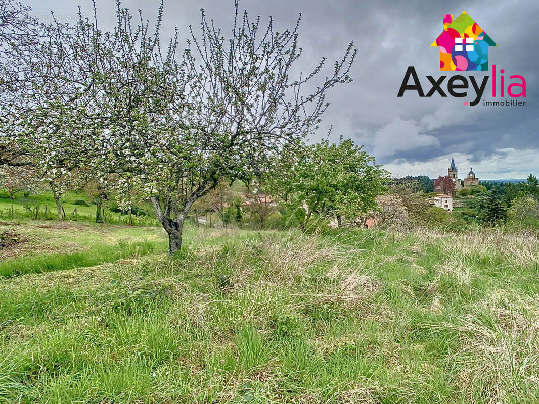 Terrain à LE CROZET