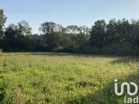 Photo 2 - Terrain à POMMEUSE