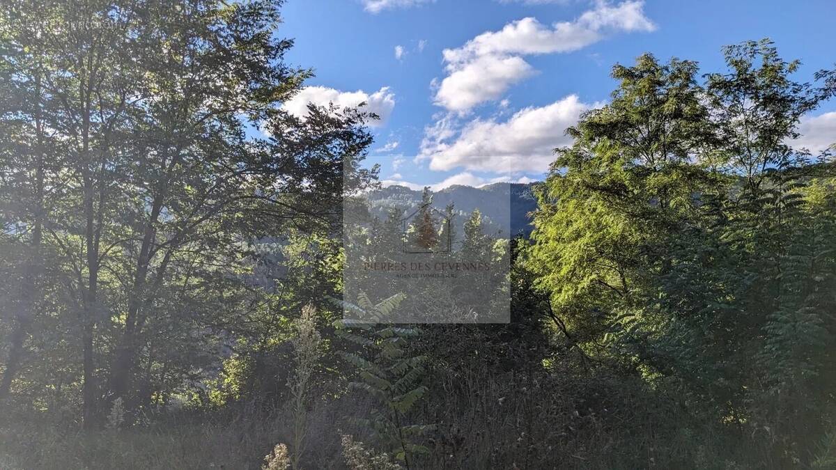 Terrain à LE COLLET-DE-DEZE