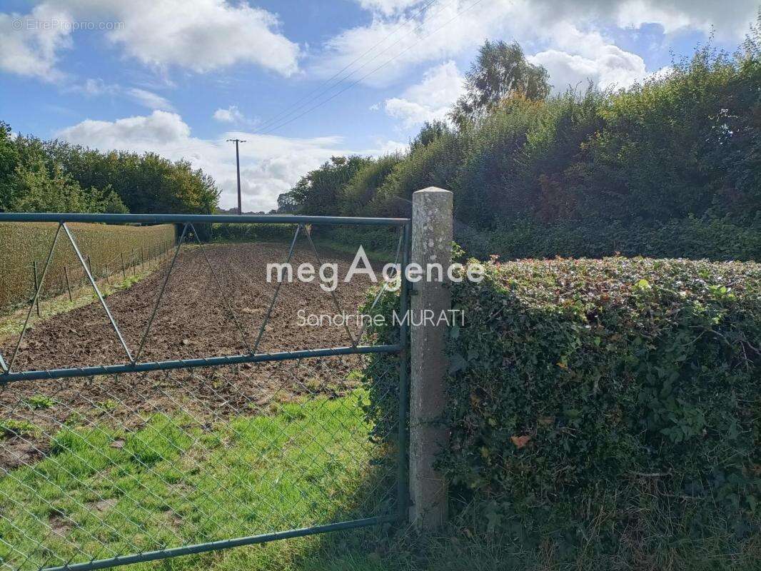 Terrain à GANDELAIN