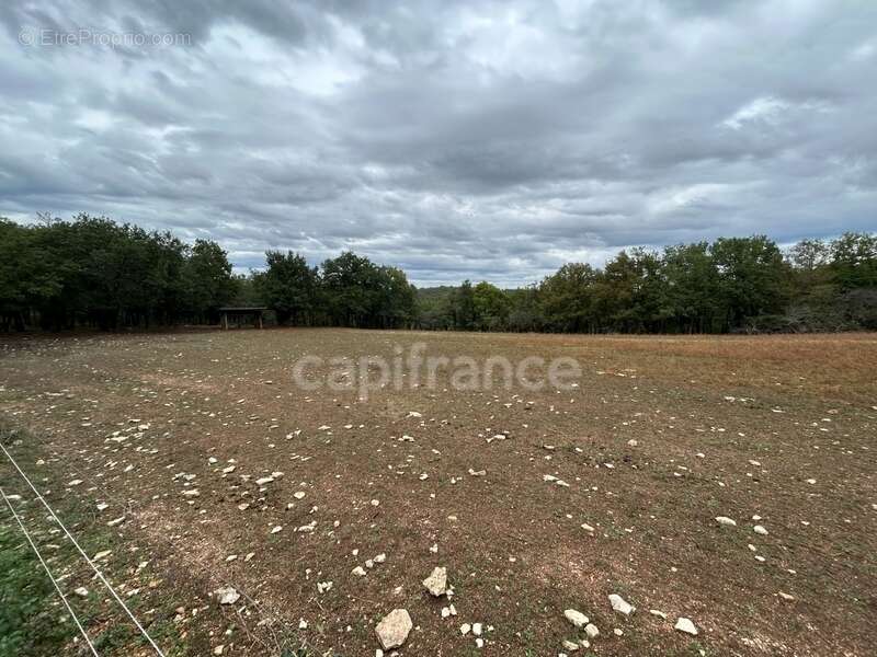 Terrain à vendre  16300m² SAINT PANTALY D'EXCIDEUIL (24) - photo 4