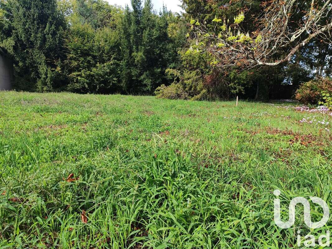 Photo 2 - Terrain à CASTELNAU-DE-MEDOC