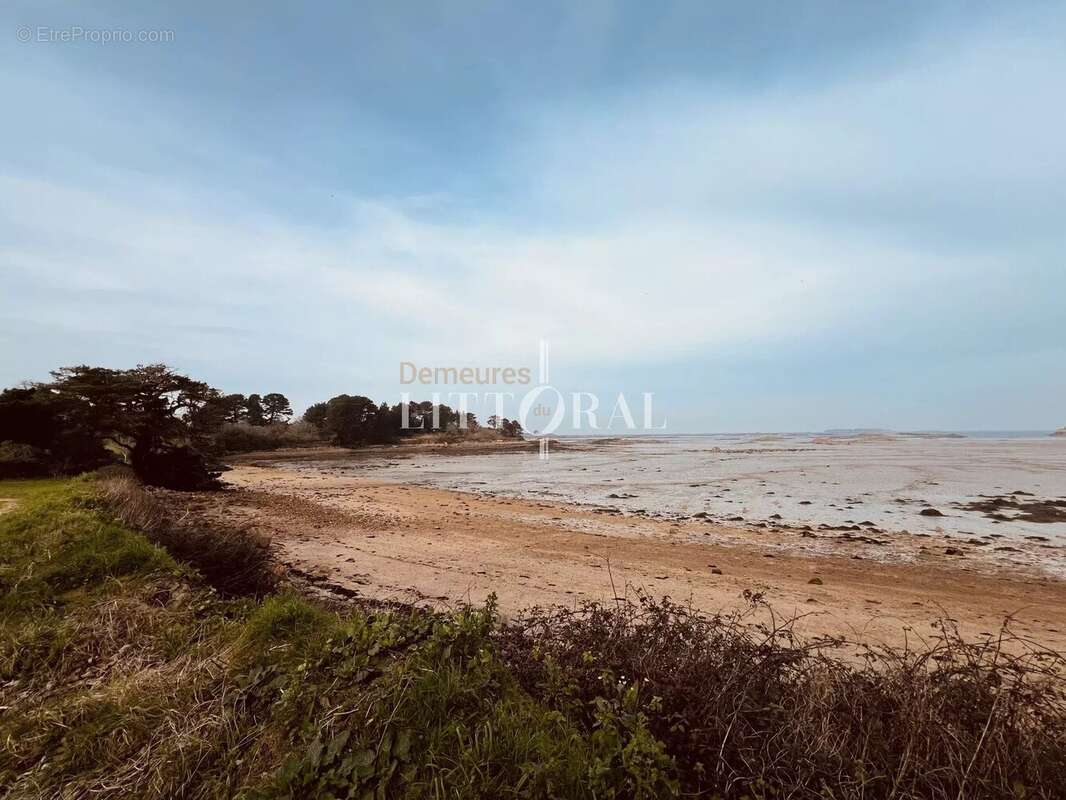 Maison à LEZARDRIEUX