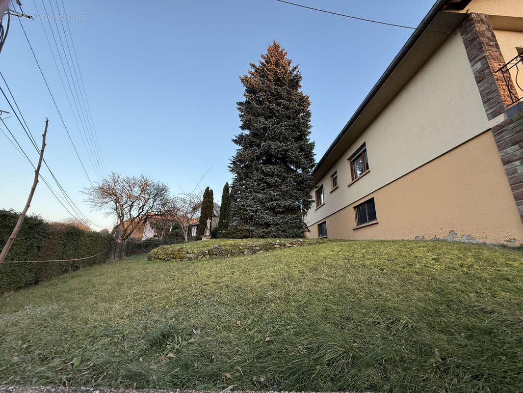 Maison à OETING