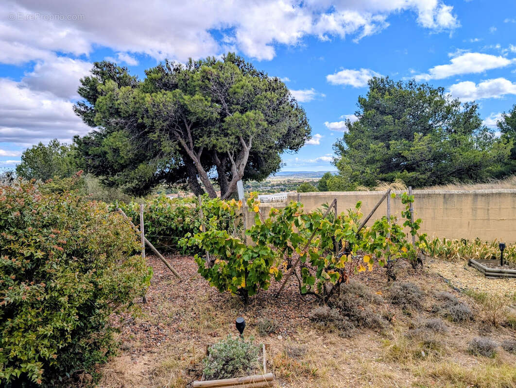 Maison à LEZIGNAN-CORBIERES