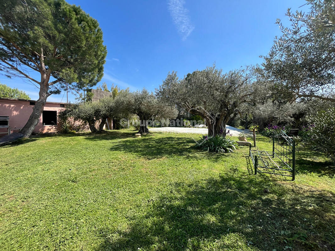 Terrain à BEAUCAIRE