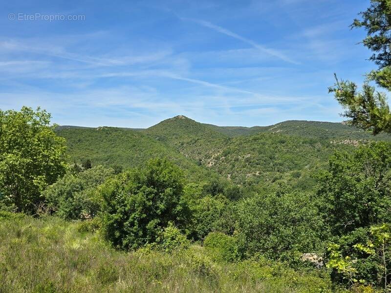 Terrain à QUINTILLAN
